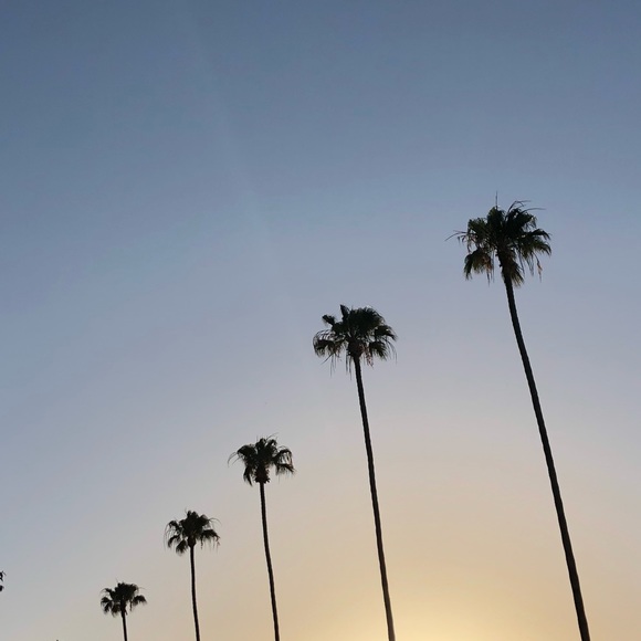 Meet your Posher, RM - Picture 1 of 1